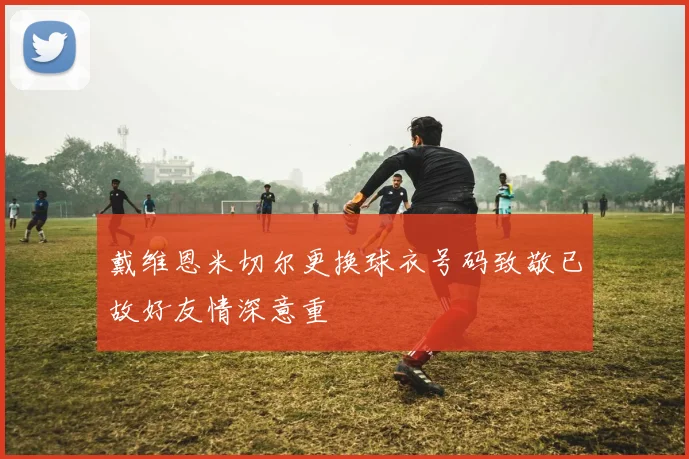 戴维恩米切尔更换球衣号码致敬已故好友情深意重